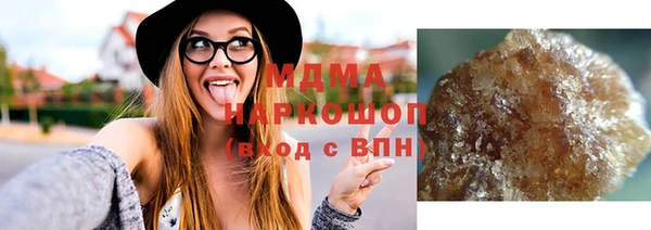 хмурый Аркадак