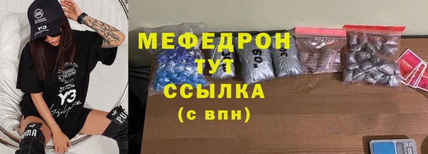 хмурый Аркадак