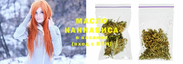 хмурый Аркадак