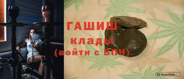 хмурый Аркадак
