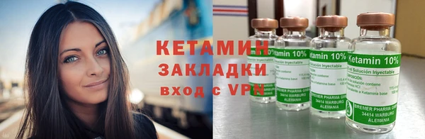 хмурый Аркадак