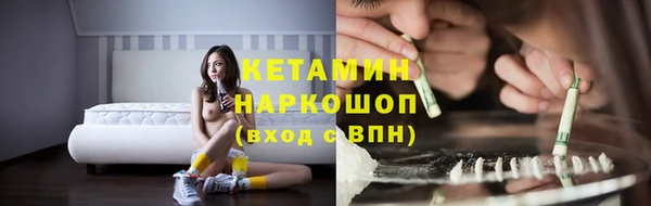 хмурый Аркадак
