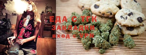 хмурый Аркадак