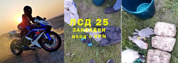 хмурый Аркадак