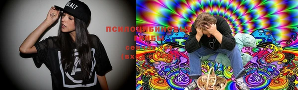 хмурый Аркадак