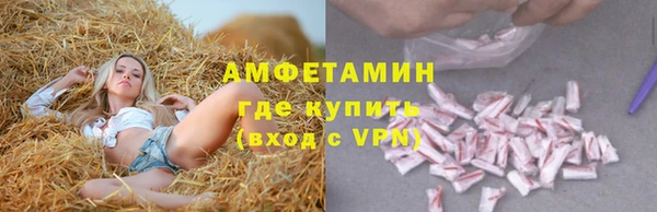 хмурый Аркадак