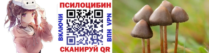 где найти   Рыльск  Псилоцибиновые грибы GOLDEN TEACHER 